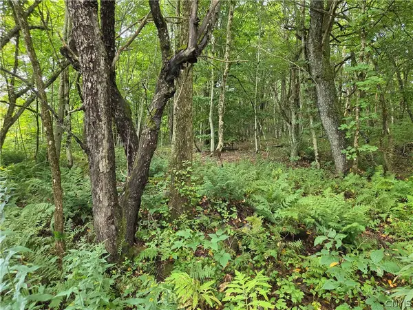 Sweeney/seelman Truck Trail Road, Constableville, NY 13325