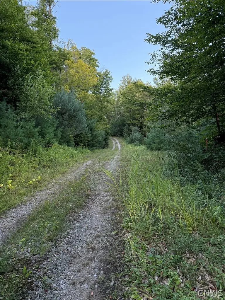 Lot #2 River Road, Boonville, NY 13309 - #1