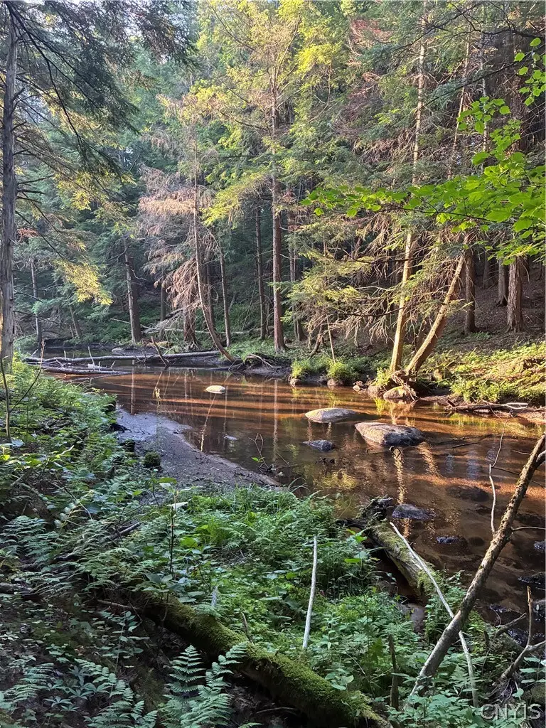 Lot #4 Woodgate Drive, Forestport, NY 13338 - #1
