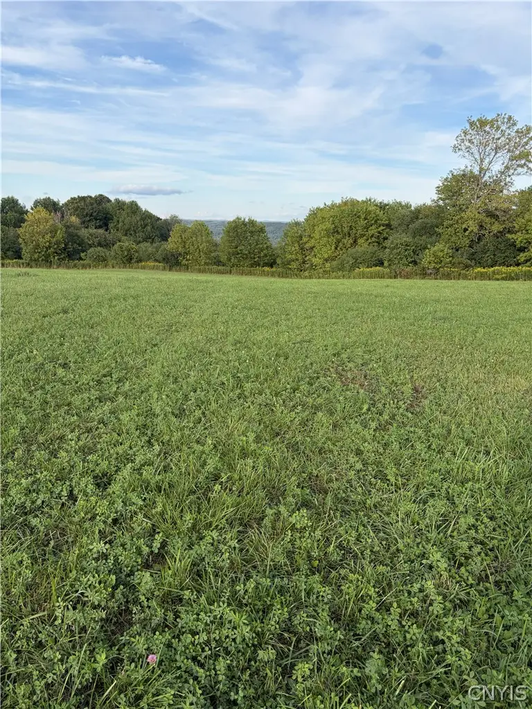 3936 East Road, Turin, NY 13473 - #2