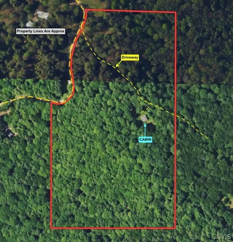 1173 Little Loop Road, Portville, NY 14770 - #2