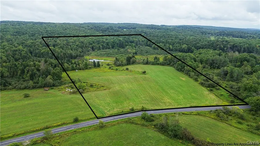 2054 Dorn Road, Boonville, NY 13309 - #3