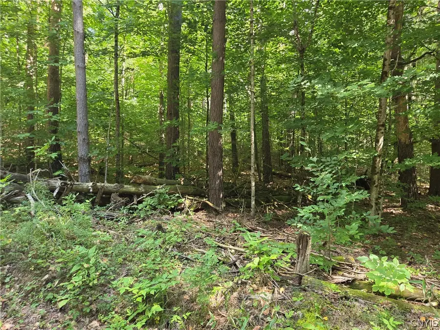 Lot #1 George Hill Road, Glenfield, NY 13343 - #2