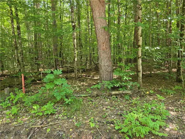 Lot #2 George Hill Road, Glenfield, NY 13343