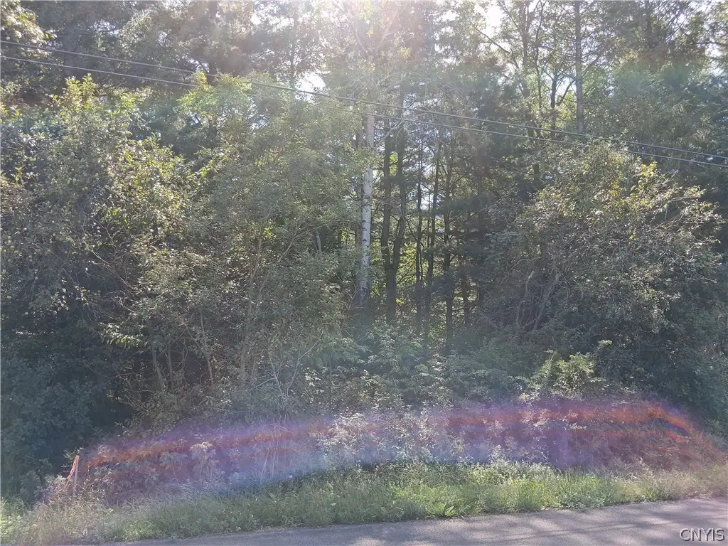 Lot 2 Kehoe Road, Sandy Creek, NY 13145 - #1
