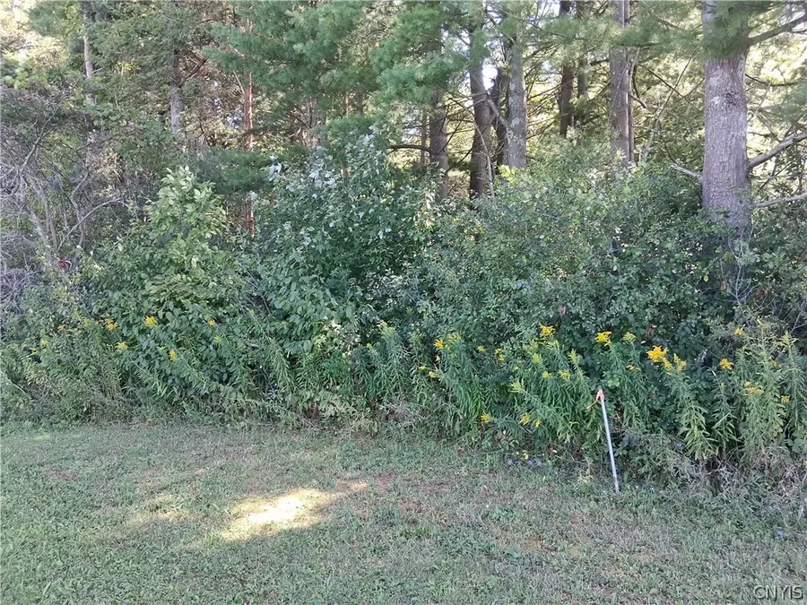 Lot 2 Kehoe Road, Sandy Creek, NY 13145 - #2