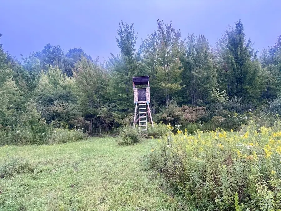 Common Road, Angelica, NY 14709 - #2