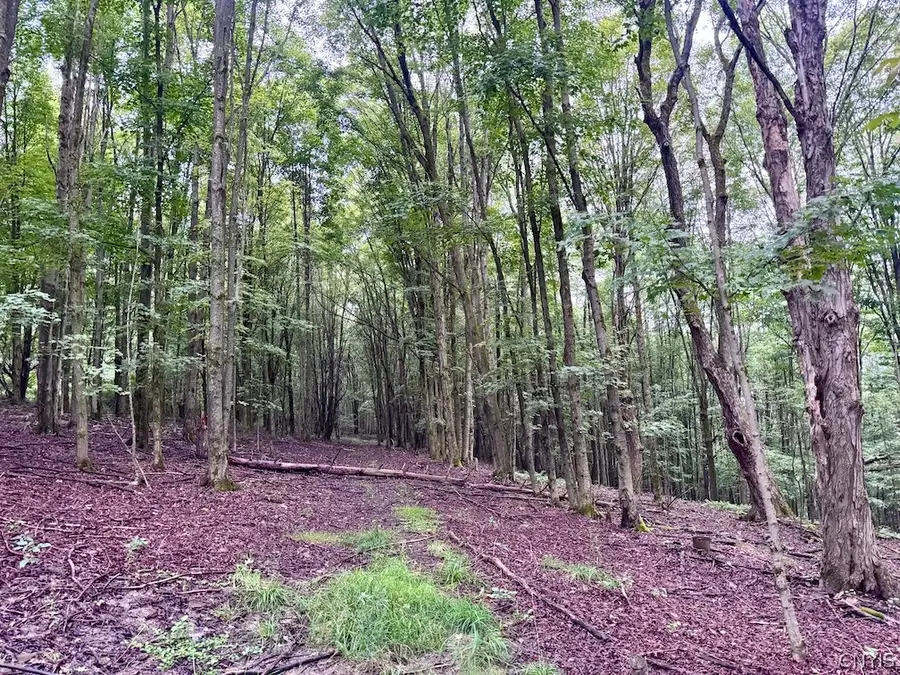 Common Road, Angelica, NY 14709 - #3