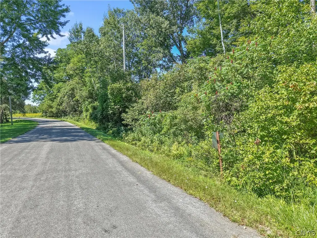 Henderson Road, Sandy Creek, NY 13145 - #1