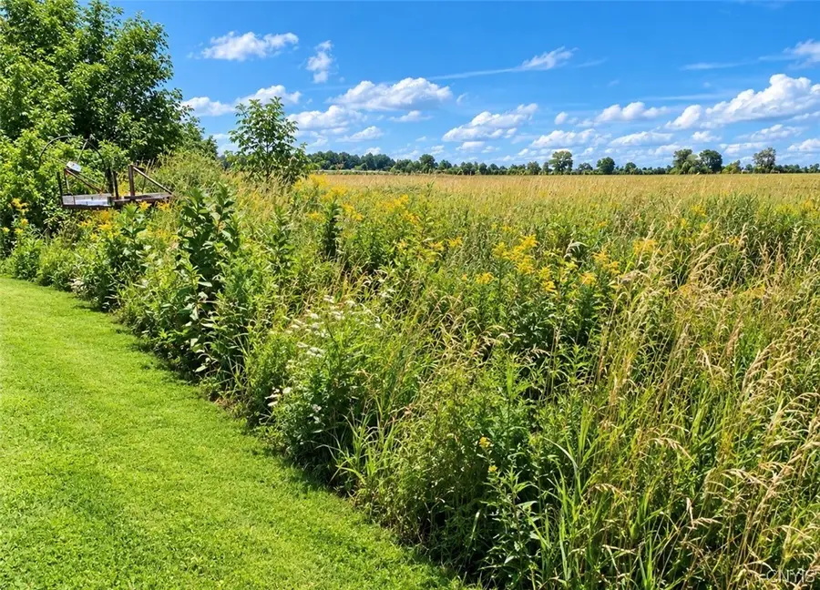 Hardscrabble Road, Lyme, NY 13693 - #2