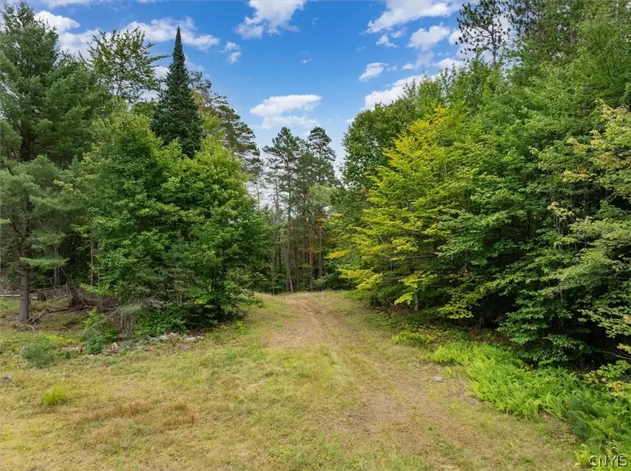 0 Piseco Road, Stratford, NY 13470 - #3