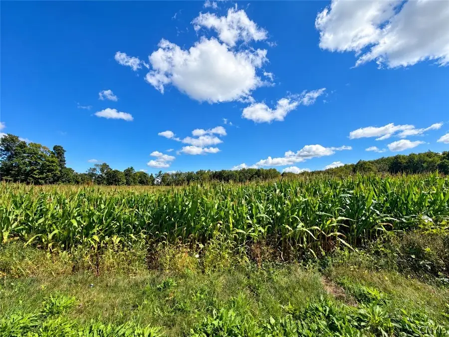 Blackmans Corners Road, Verona, NY 13478 - #3