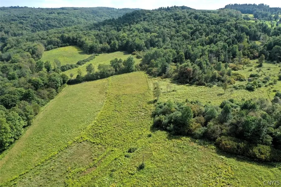 791 County Road 19, Whitesville, NY 14897 - #3