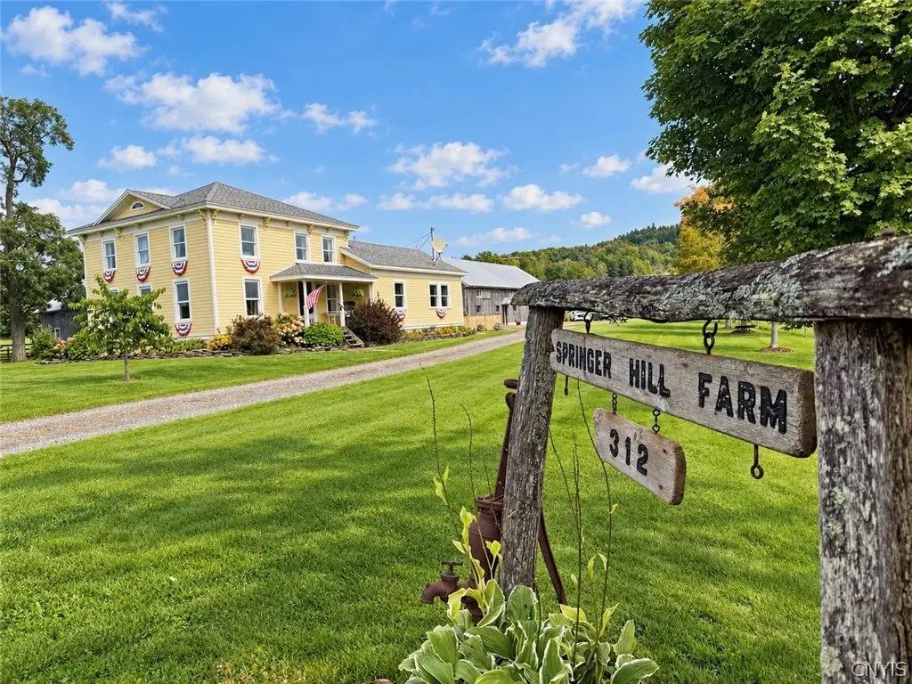 312 Springer Road, Lincklaen, NY 13052 - #1