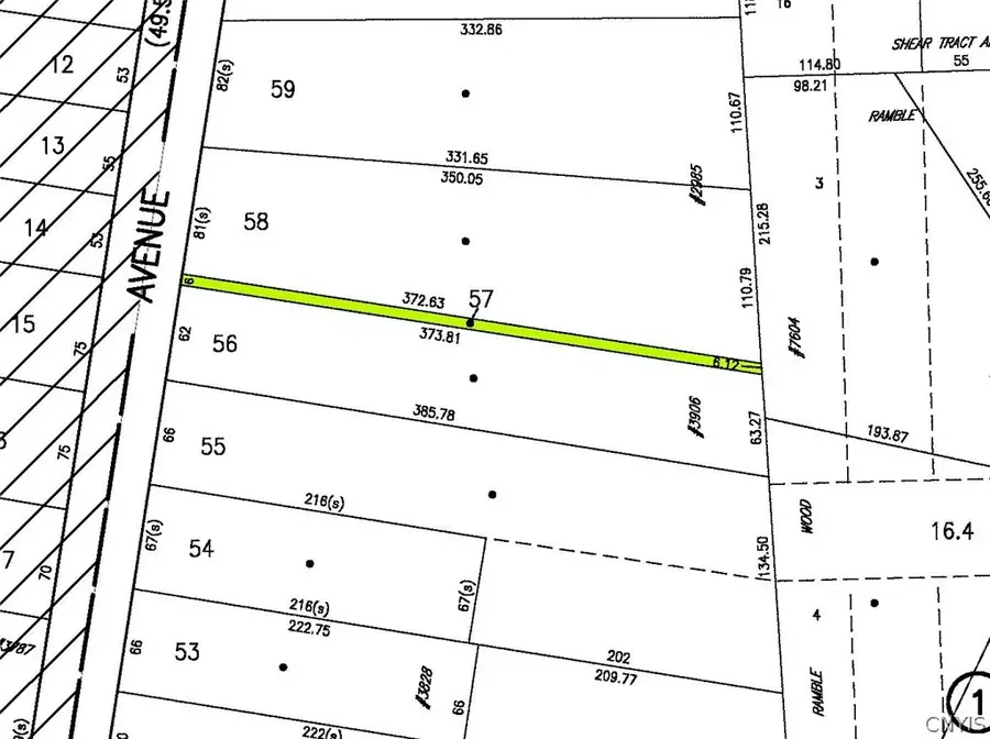 Leitch Avenue, Skaneateles, NY 13152 - #3