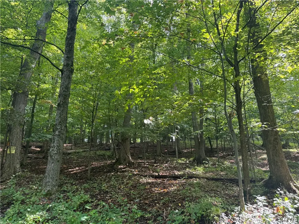 4 Nob Road, Utica, NY 13501 - #1