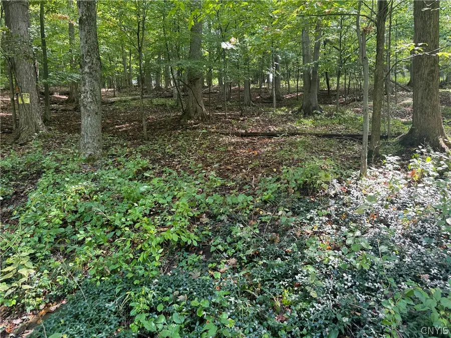 4 Nob Road, Utica, NY 13501 - #3