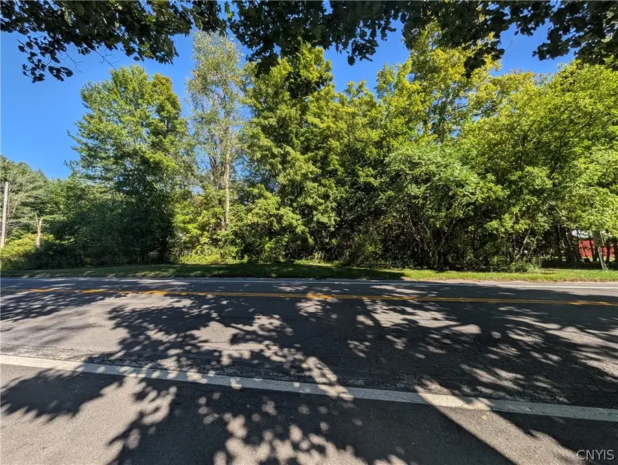 Nys Rte 13 E, Blossvale, NY 13308 - #3