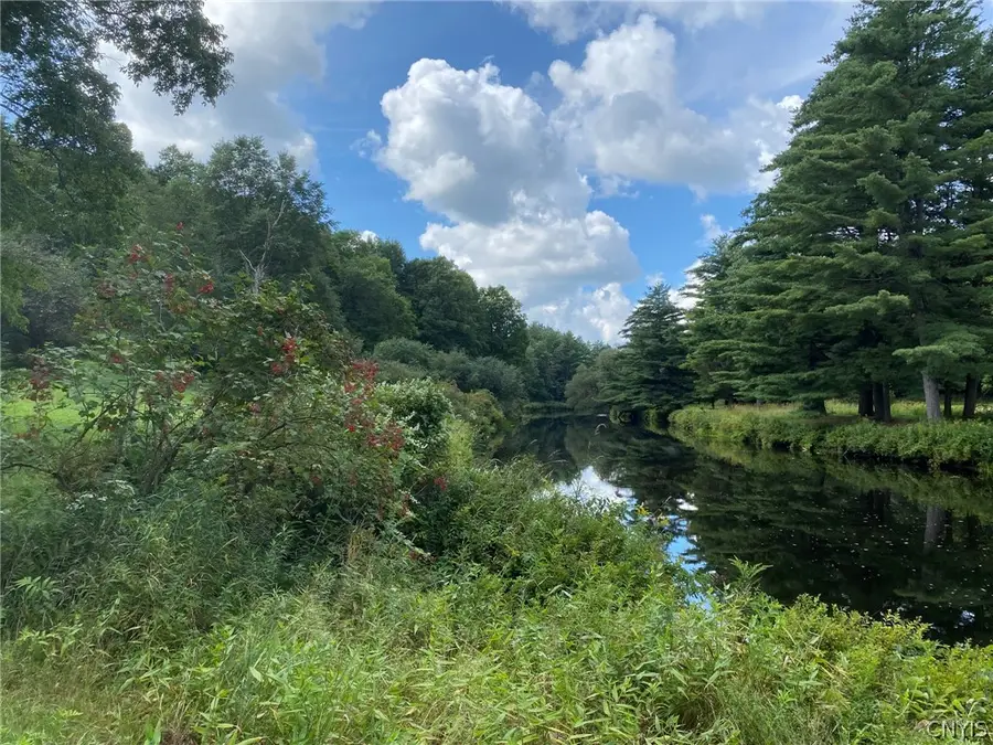 0 Emeryville Road, Gouverneur, NY 13642 - #3