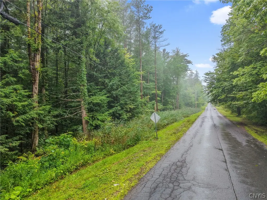 Seeber Road, Hastings, NY 13076 - #1