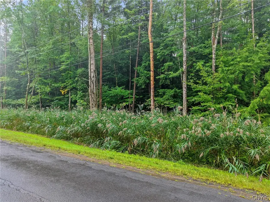Seeber Road, Hastings, NY 13076 - #3