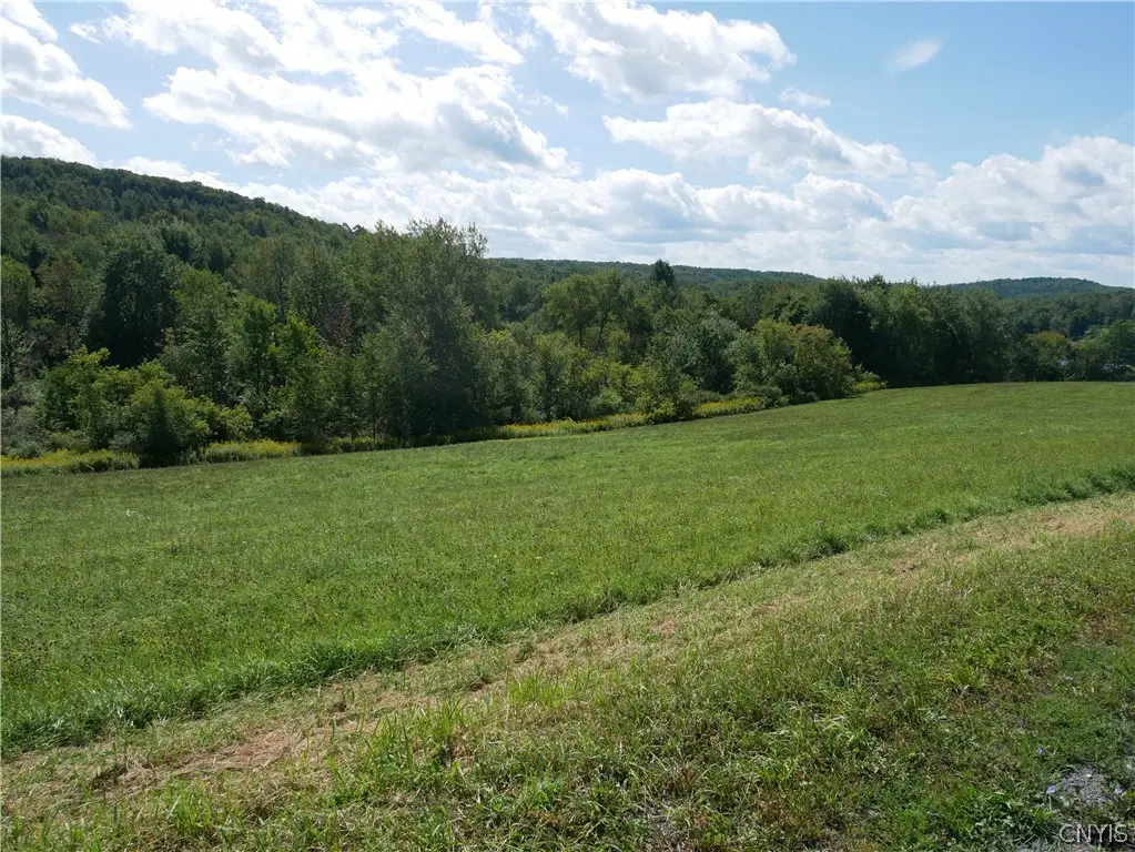 8050 Bailey Lake Road, Waterville, NY 13480 - #1