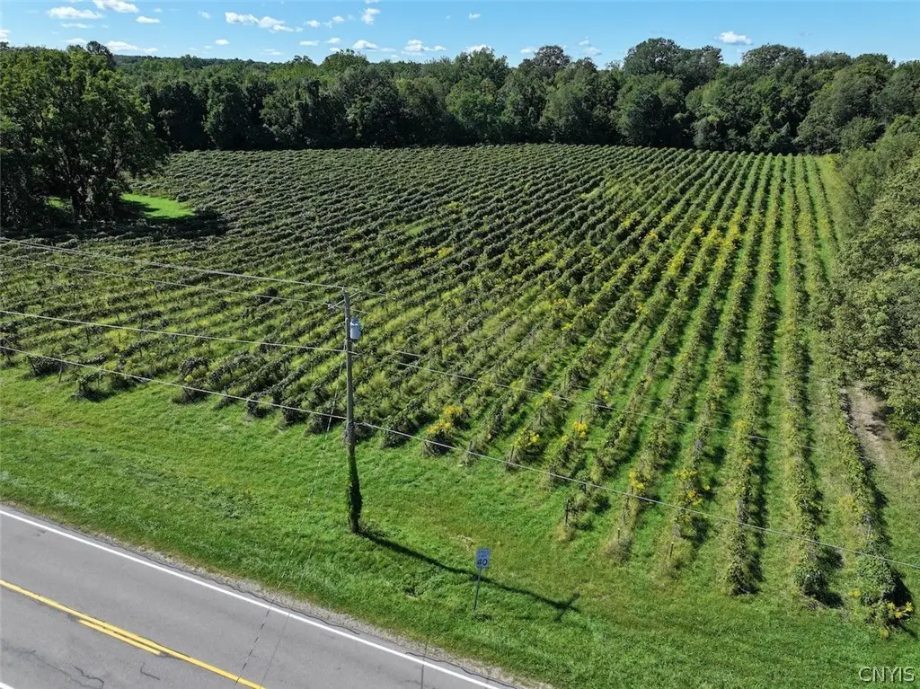 Bennett State Road, Forestville, NY 14062 - #1