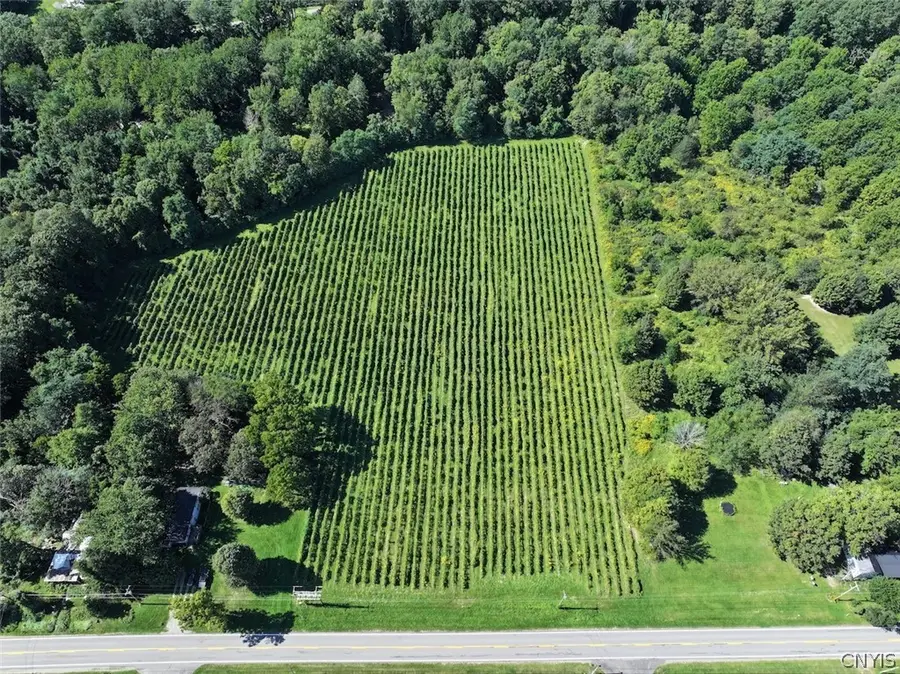 Bennett State Road, Forestville, NY 14062 - #3