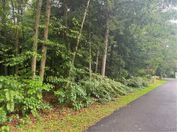Shady Lane, Sylvan Beach, NY 13157
