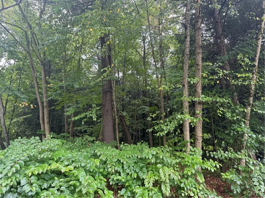 Shady Lane, Sylvan Beach, NY 13157 - #2