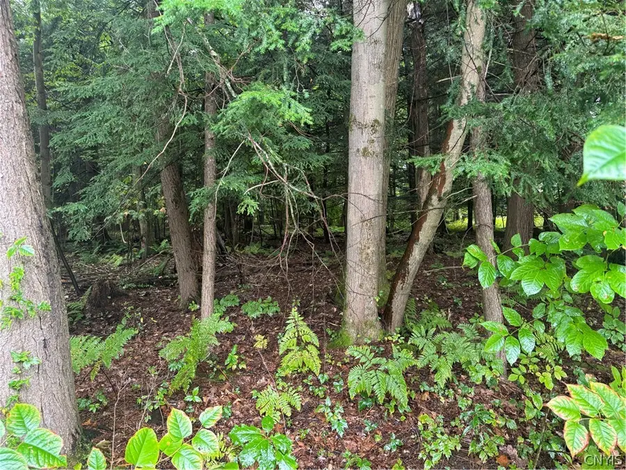 Shady Lane, Sylvan Beach, NY 13157 - #3