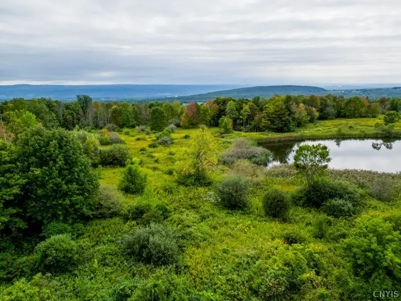 144 Louis Ridge Rd, Frankfort, NY 13340 - #2