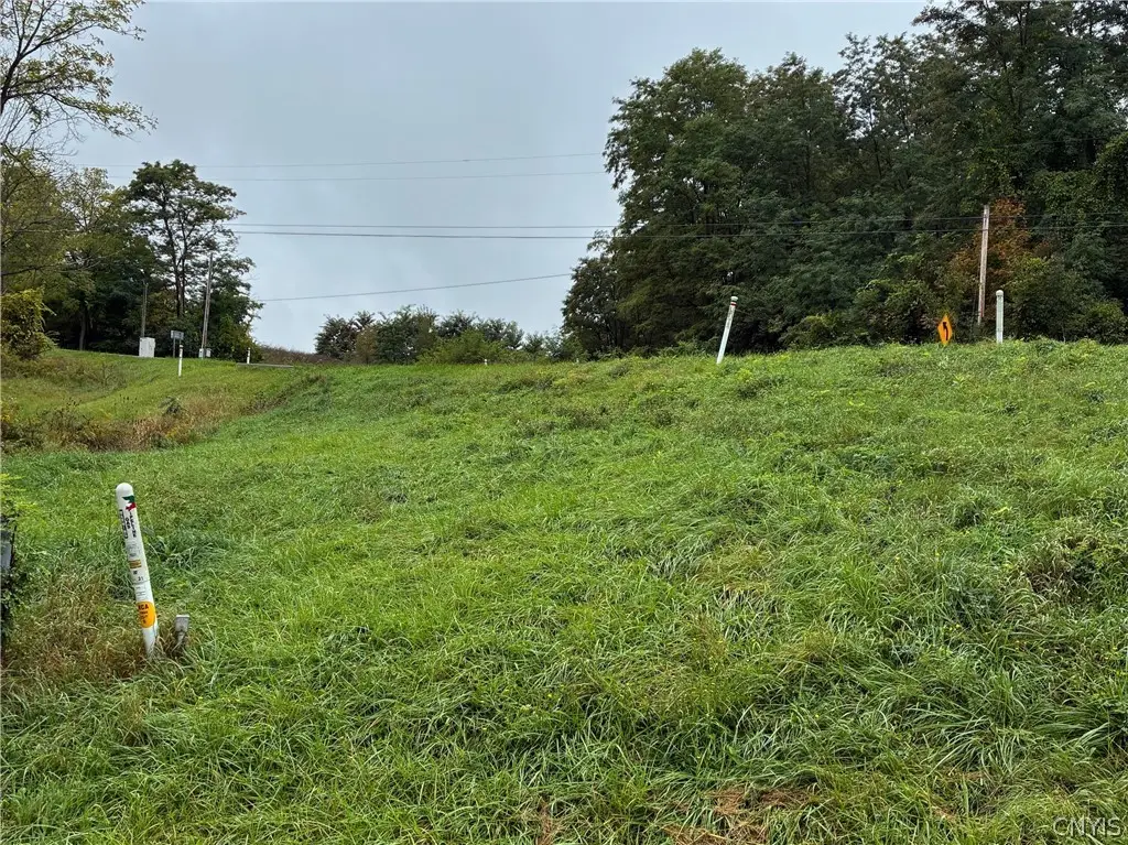 Smith Road, Newfield, NY 14867 - #1