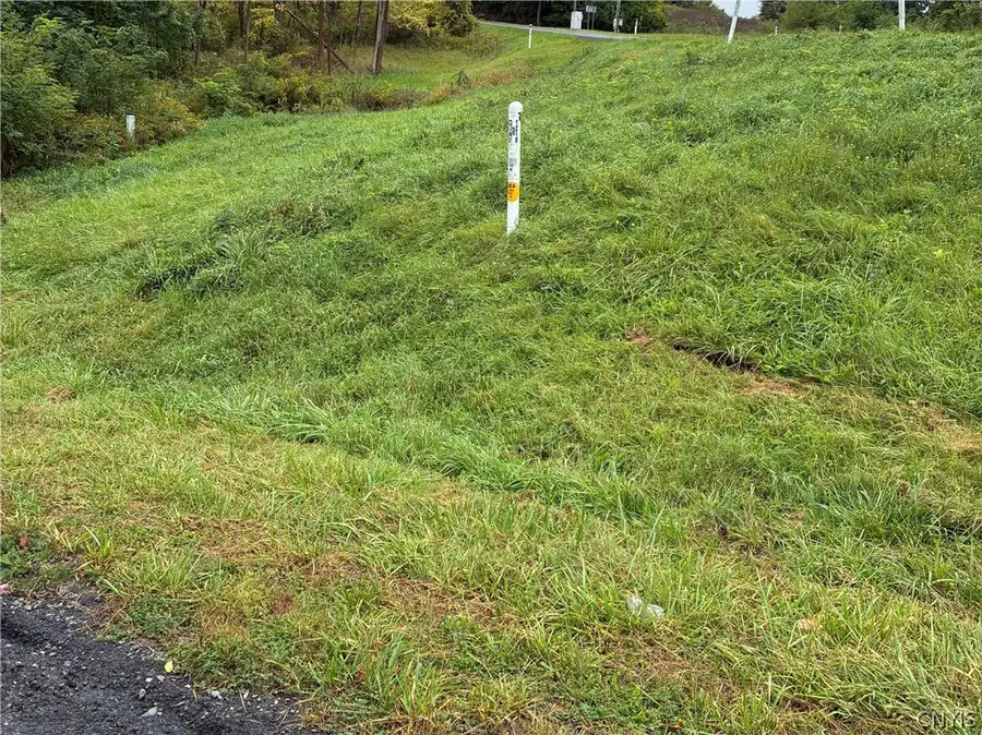 Smith Road, Newfield, NY 14867 - #2