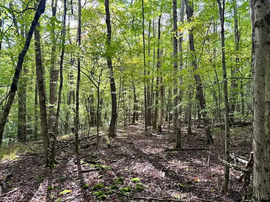 East Road, Angelica, NY 14709 - #2