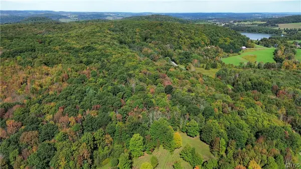 Lot 21 Buddle Road, Richfield Springs, NY 13439