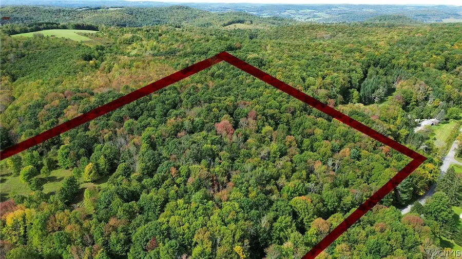 Lot 21 Buddle Road, Richfield Springs, NY 13439 - #2