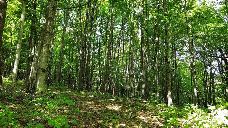 Lot 21 Buddle Road, Richfield Springs, NY 13439 - #3