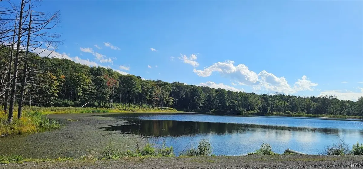 Creamery Road, Richford, NY 13835 - #1