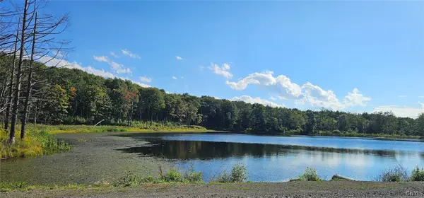 Creamery Road, Richford, NY 13835