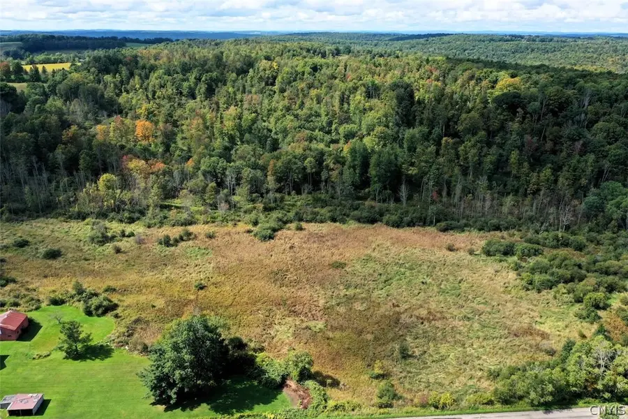 Cheese Factory Road, Corning, NY 14830 - #2