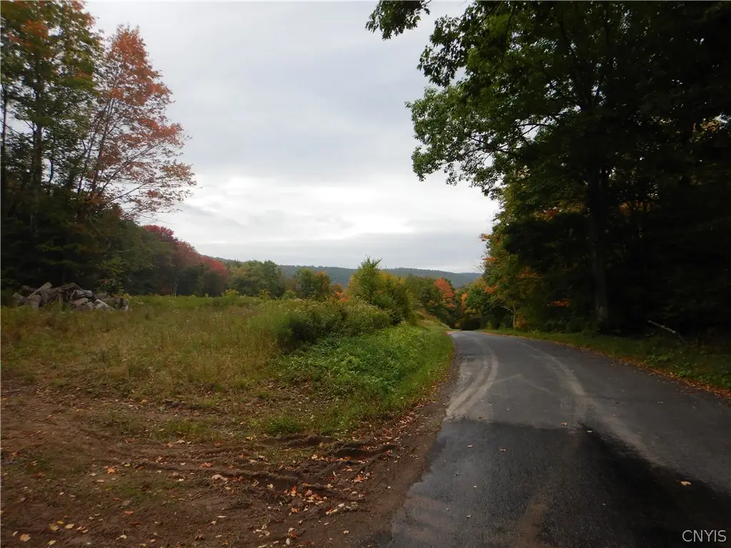 Houck Mountain, Walton, NY 13856 - #1