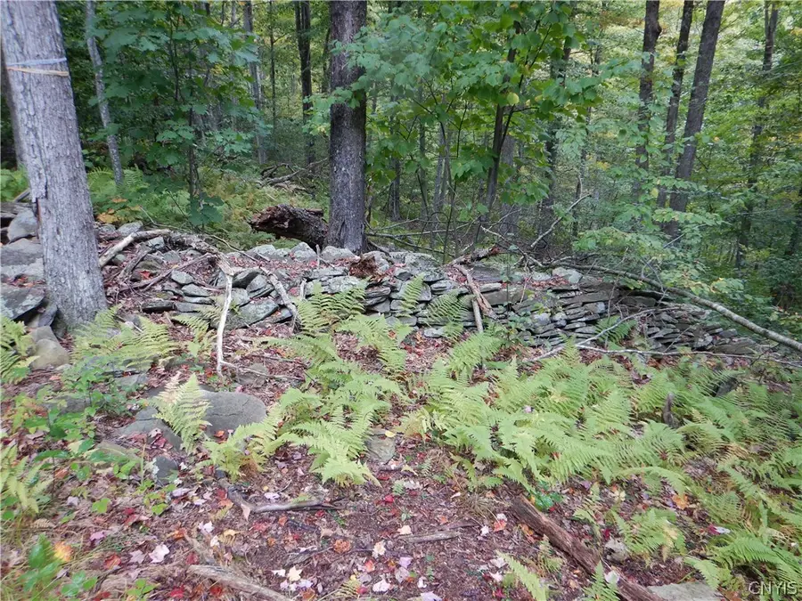 Houck Mountain, Walton, NY 13856 - #2