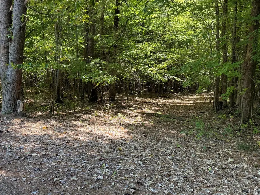 55 Riverside Pointe Drive, Pulaski, NY 13142 - #2
