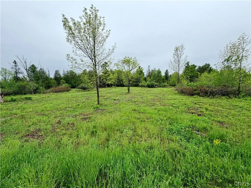 County Rte 8, Cape Vincent, NY 13618 - #1