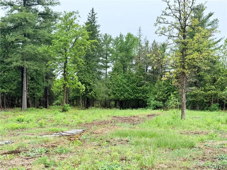 County Rte 8, Cape Vincent, NY 13618 - #3