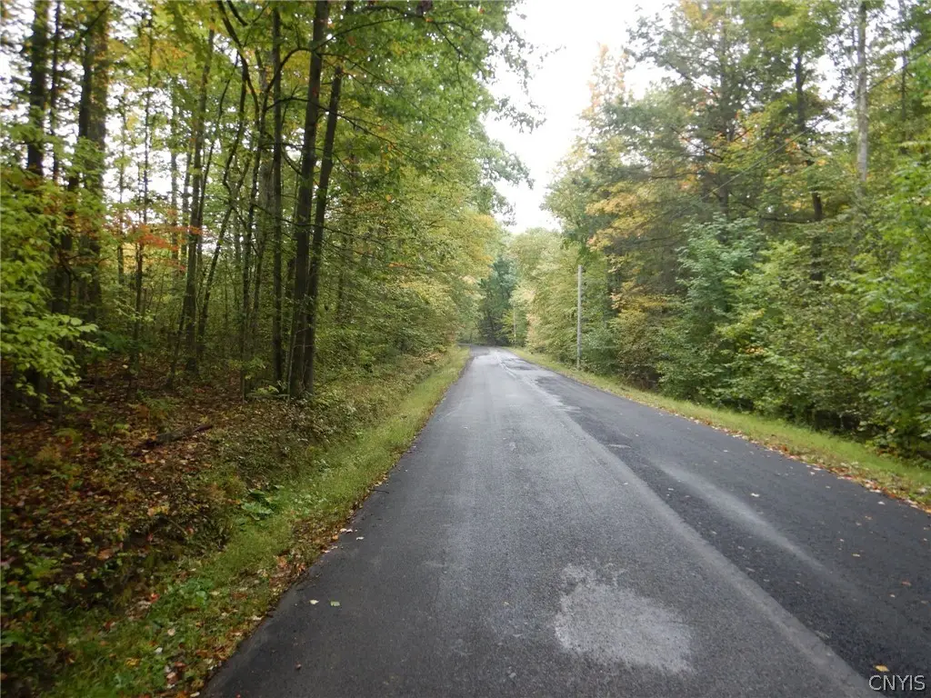 Flanders Hill, Windsor, NY 13865 - #1