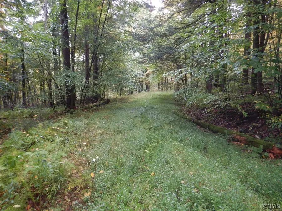 Flanders Hill, Windsor, NY 13865 - #3