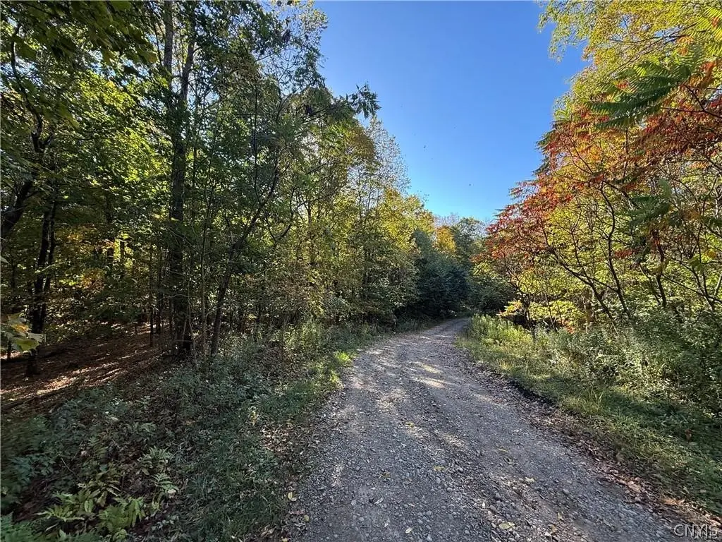 Steelhead Lane, Williamstown, NY 13493 - #1