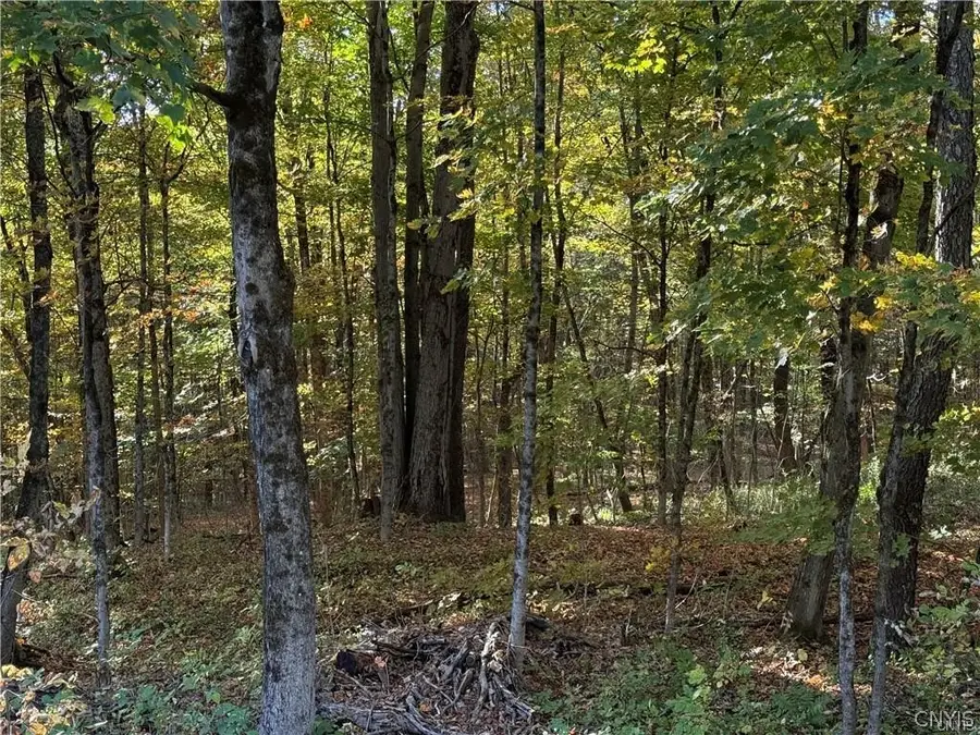 Steelhead Lane, Williamstown, NY 13493 - #2
